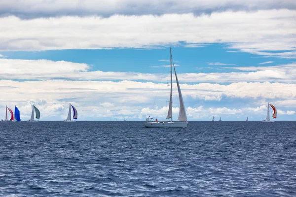 在有风的天气的亚德里亚海上游艇帆船赛 — 图库照片