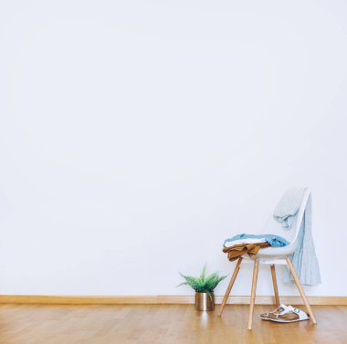 İçinde yeşil saksı bitkisi ve minimalist tarzında giysiler olan kapalı bir duvar modeli. Dünyevi Tarafsız Ses Arkaplanı. İçerisi ahşap zeminli havadar ışık stili.