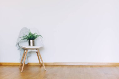 Yeşil saksı bitkisi ve minimalist tarzda giyinmiş sandalyesi olan kapalı bir duvar modeli. İçi parlak İskandinav tarzı ahşap zeminli.
