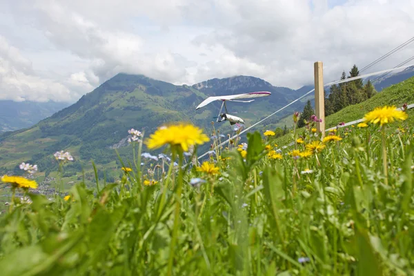 Hang glider pilot in Swiss Alps taken in summer, — Stock Photo, Image