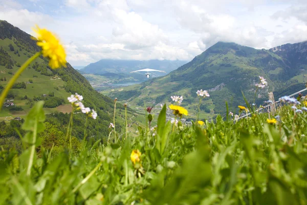 Hang zweefvliegtuig piloot in Zwitserse Alpen genomen in de zomer, — Stockfoto