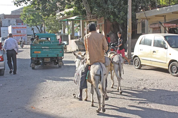 Jaipur city view, rajastan, Indie — Stock fotografie