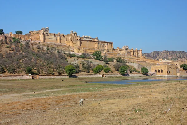 Bella Amber Fort vicino alla città di Jaipur in India. Rajasthan — Foto Stock