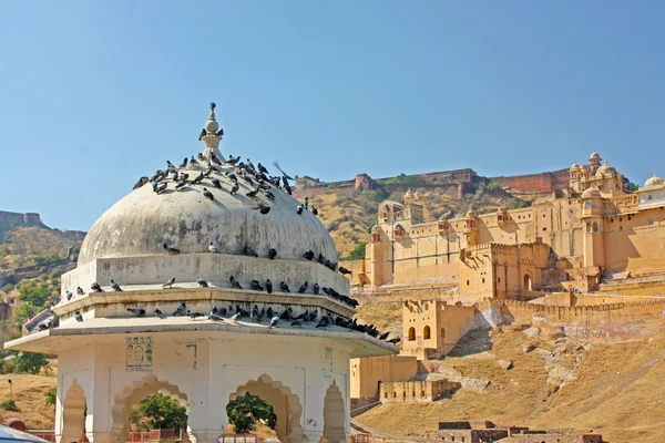 Vackra amber fort nära jaipur stad i Indien. Rajasthan — Stockfoto