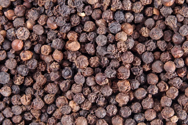 Black pepper background — Stock Photo, Image