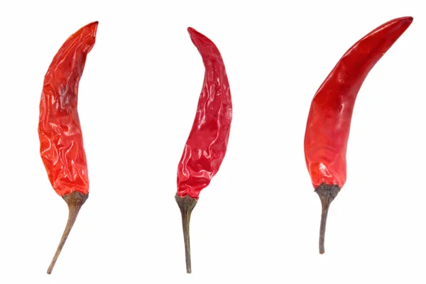 Red chilli — Stock Photo, Image