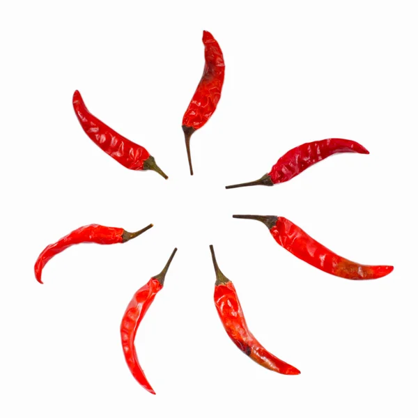 Czerwone chilli — Zdjęcie stockowe