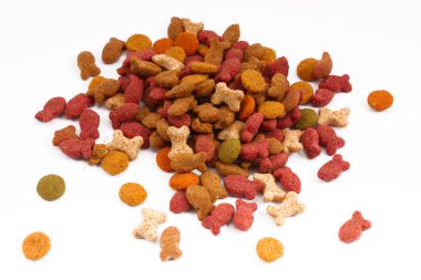 kuru kedi maması karışımı