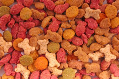 kuru kedi maması karışımı