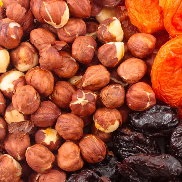 Dried fruits and hazelnuts backgtound Dried fruits and hazelnuts backgtound — Stock Photo, Image