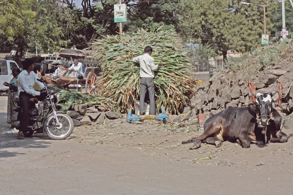 Ulice i budynki bijapur, karnataka, Indie — Zdjęcie stockowe