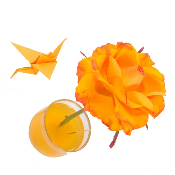 美丽的橙色玫瑰隔离 — 图库照片