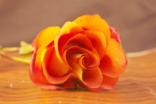 Tratamento de beleza laranja rosa — Fotografia de Stock