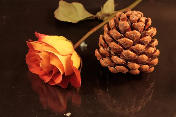 Tratamento de beleza laranja rosa — Fotografia de Stock