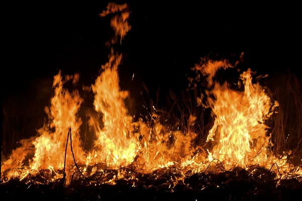 Fuoco sul campo — Foto Stock