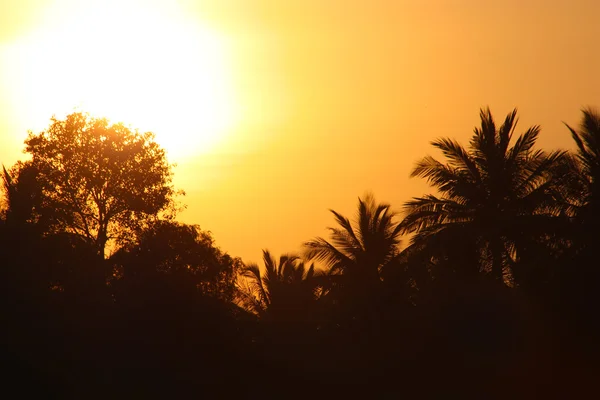 Hampi, Inde — Photo