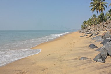 varkala, kerala, Hindistan tropikal plaj