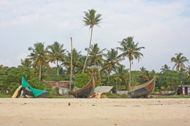 varkala, kerala, Hindistan tropikal plaj