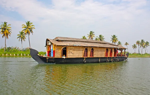 Palmiers avec reflets au Kerala, Inde — Photo