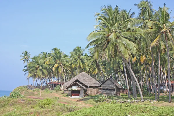 Tropická pláž v varkala, kerala, Indie — Stock fotografie