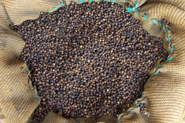 karabiber Hint pazarında büyük bir çanta içinde