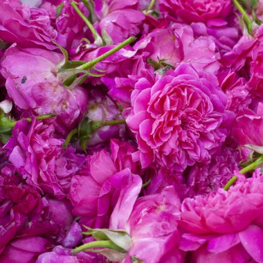 Flower çelenk hindu dini töreni için