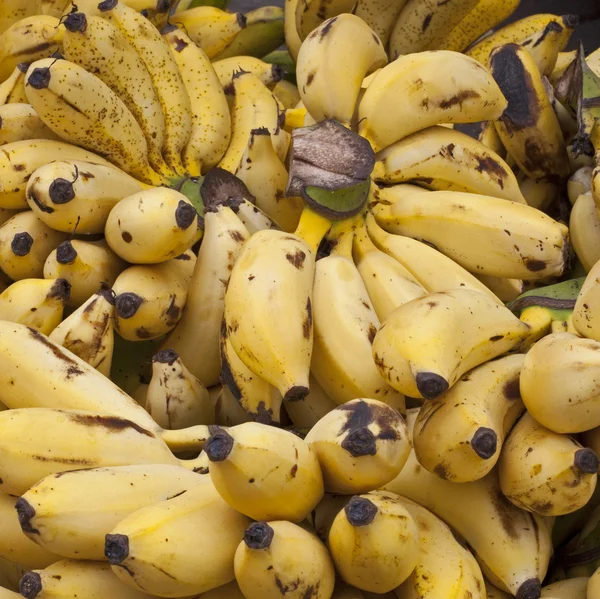 Banane — Stockfoto