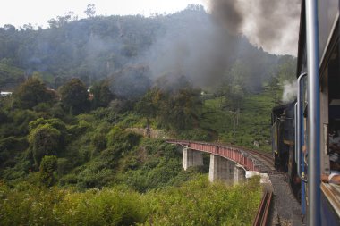 Nilgiri, Tamil Nadu