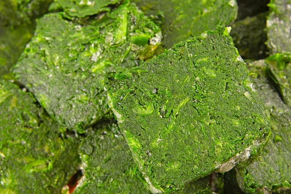 Frozen spinach — Stock Photo, Image