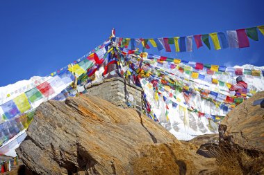 Annapurna alan, Himalayalar
