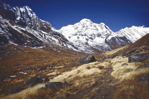 Annapurna obszaru, Himalaje — Zdjęcie stockowe