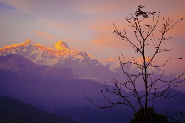 Himalayalar görünümü, annapurna alanı — Stok fotoğraf