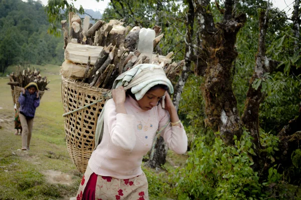 Varias mujeres tibetanas — Foto de Stock