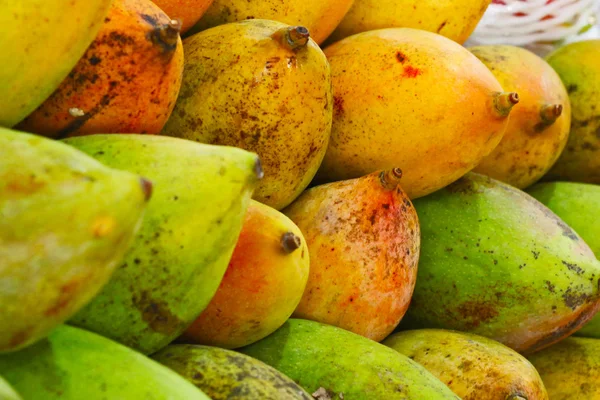 Papaya for health , background, india — Stock Photo, Image