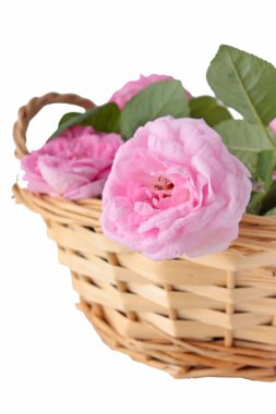 Sepette pembe güller