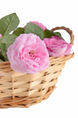 Sepette pembe güller