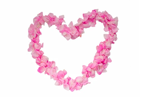 Heart from the most gentle rose-petals — Stock Photo, Image