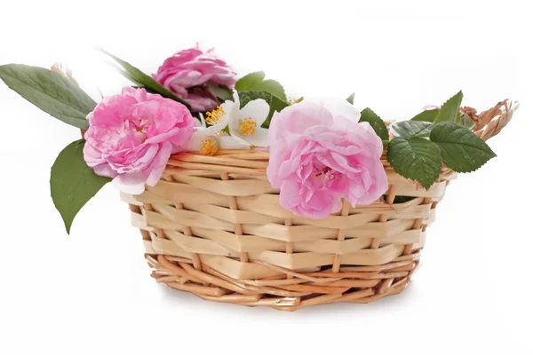 Rosas rosadas y jazmín en una canasta —  Fotos de Stock