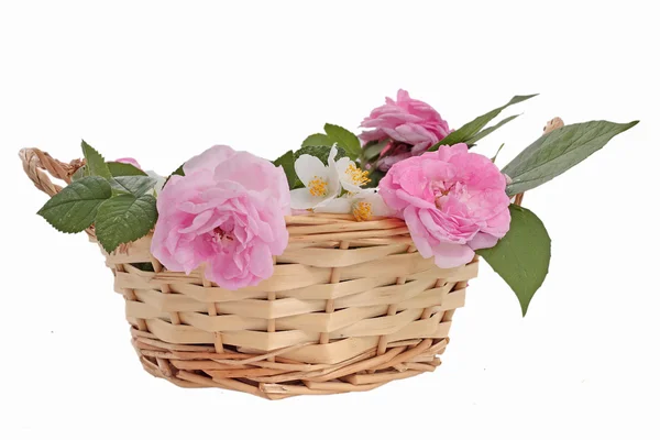 Rosas rosadas y jazmín en una canasta —  Fotos de Stock