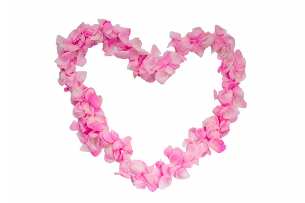 Heart from the most gentle rose-petals — Stock Photo, Image