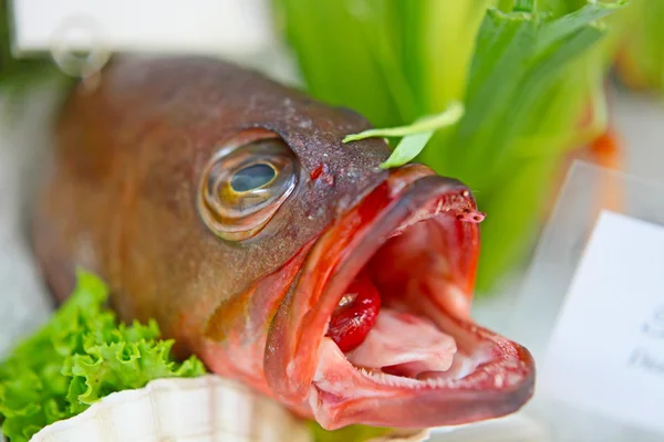 Seafood on ice at the fish market — Stock Photo, Image