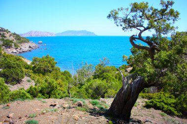 Karadeniz ve Karadağ dağ Kırım, Ukrayna'nın muhteşem manzara