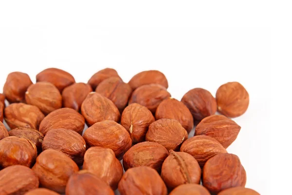 Hazel nut isolated on white background — Stock Photo, Image