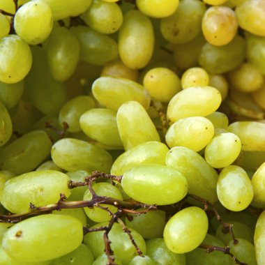 arka plan için taze yeşil üzüm