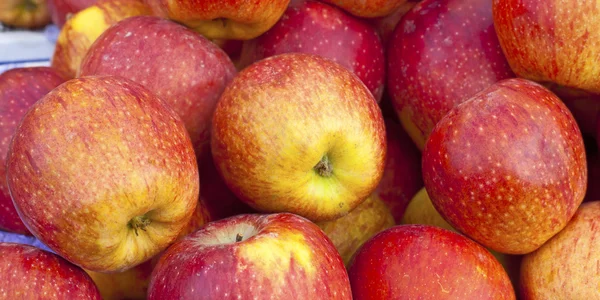 Röd mogen och gul äpple bakgrund — Stockfoto
