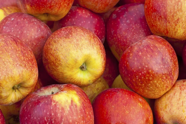 Röd mogen och gul äpple bakgrund — Stockfoto