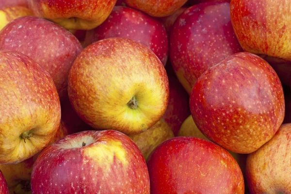 Röd mogen och gul äpple bakgrund — Stockfoto