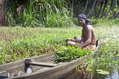 adam içinde kerala önemsizden üzerinde Kano