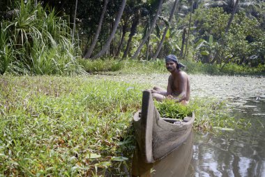 adam içinde kerala önemsizden üzerinde Kano