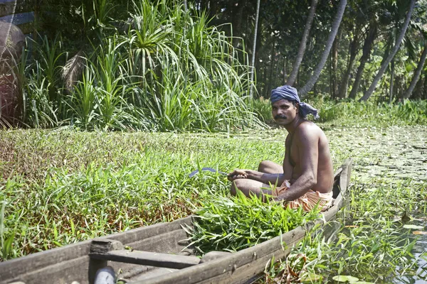 Man in canoe on Kerala Backwaters — Stock Photo, Image